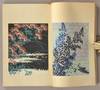 View Image 9 of 13 for SHINBIJUTSUKAI 7 volumes... Inventory #91254