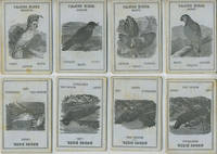 image of American bird matching card game