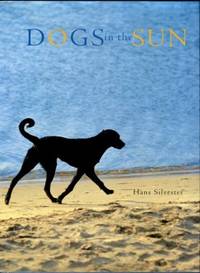 image of Dogs In The Sun