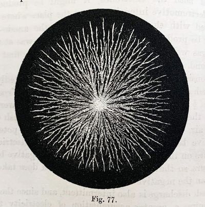 Popular Lectures and Addresses
