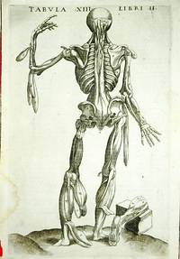 Anatomia del corpo humano nuovamente ristampata e con l