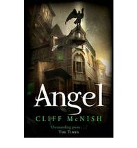 Angel by Cliff Mcnish - Paperback - 2008 - from Bookbarn International (SKU: 1994479)