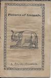 Pictures of Animals
