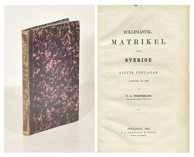 Ecklesiastik-matrikel öfver Sverige. Sjette…