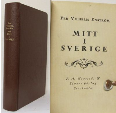 Mitt i Sverige. Anteckningar rörande…