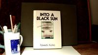 INTO A BLACK SUN: Vietnam 1964-65