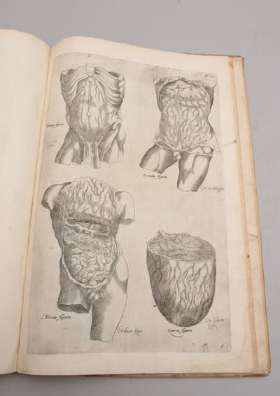 De humani corporis fabrica epitome: cum annotatiionibus Nicolai Fontani. (photo 5)