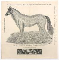 Printed Advertisement for the National School of Business - Mr. Glick's Calligraphy Horse