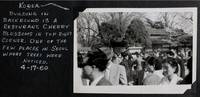 [Photo Album Compiled by an American Soldier in Korea]