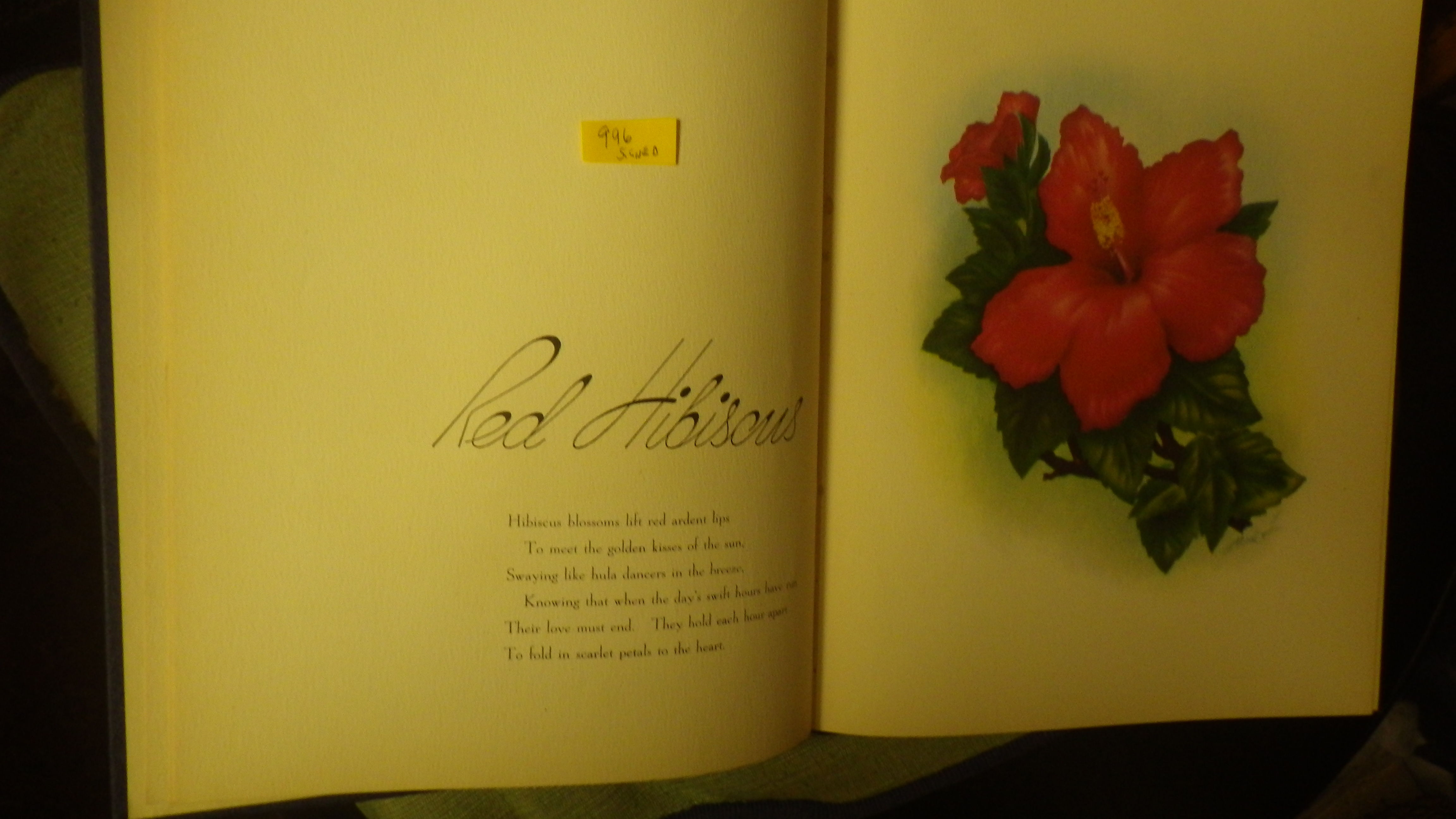 In an Old Hawaiian Garden an Album of Hawaiis Flowers ( Red