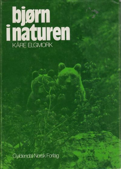 Bjørn i naturen.