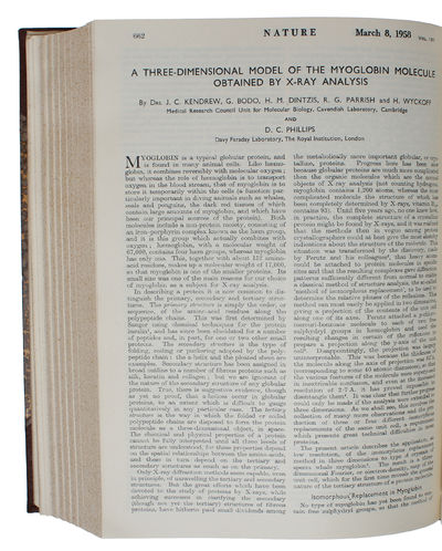 A Three-Dimensional Model of the Myoglobin Molecule Obtained by X-ray Analysis [in Nature 181, 1958] (+) Structure of Myoglobin: A Three-Dimensional Fourier synthesis at 2 Å Resolution [in Nature 185, 1960]. (photo 2)
