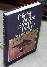 image of Flight of the Storm Petrel