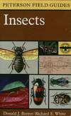 A Field Guide To Insects