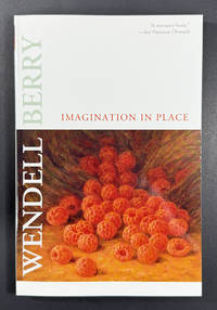 Imagination In Place