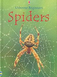 Spiders (Beginners)