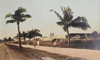 [Album of Hand-colored Photos Depicting the Philippines]