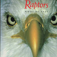 Raptors: Birds of Prey