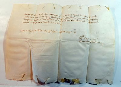 Manuscript on Vellum, Signed