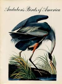 image of Audubon's Birds of America