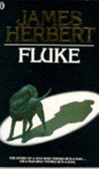 Fluke
