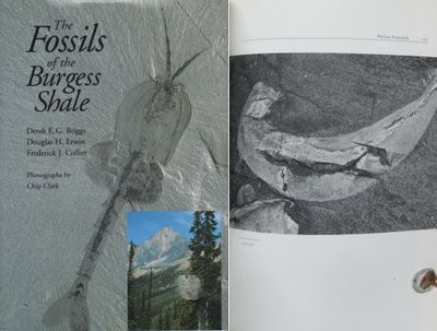 The Fossils of the Burgess Shele