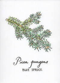 5 X 7 Inch Paperback Blank Journal Blue Spruce Botanical Cover Art By Annie BrulÃ© - 