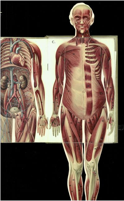 Die neue heilmethode. Lehrbuch der naturgemässen lebensweise, der gesundheitspflege und der naturgemässen heilweise (diätetisch-physikalische therapie). Neu bearbeitet von praktischen ärzten, hygienikern und pädagogen. Mit 660 abbildungen, 62 chromo- und kunstdrudktafeln und 10 zerlegbaren modellen. 563.-572. tausend. I-IV. (photo 4)