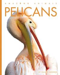 Pelicans (Amazing Animals)