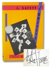 The Safety of Objects: Stories
