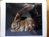 View Image 6 of 9 for Ten Contemporary Artists III  Inventory #152350