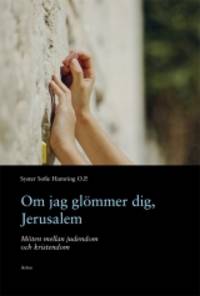 Om jag glömmer dig, Jerusalem. Möten mellan…