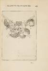 [FOUNDATIONS OF VIRTUAL REALITY -...; (photo 15)