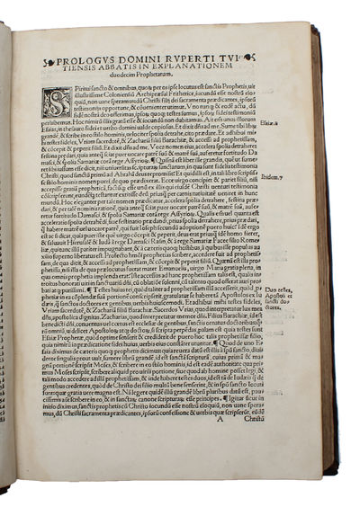 Summi disertissimi theologi, sacris dutaxat literis omnia probantis, in XII. prophetas minores, commentariorum libri XXXII. (...). (photo 3)