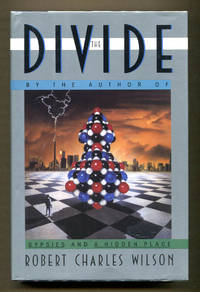 image of The Divide