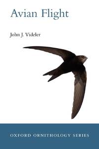 Avian Flight