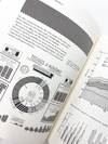 Visual Display Of Quantitative Information, The