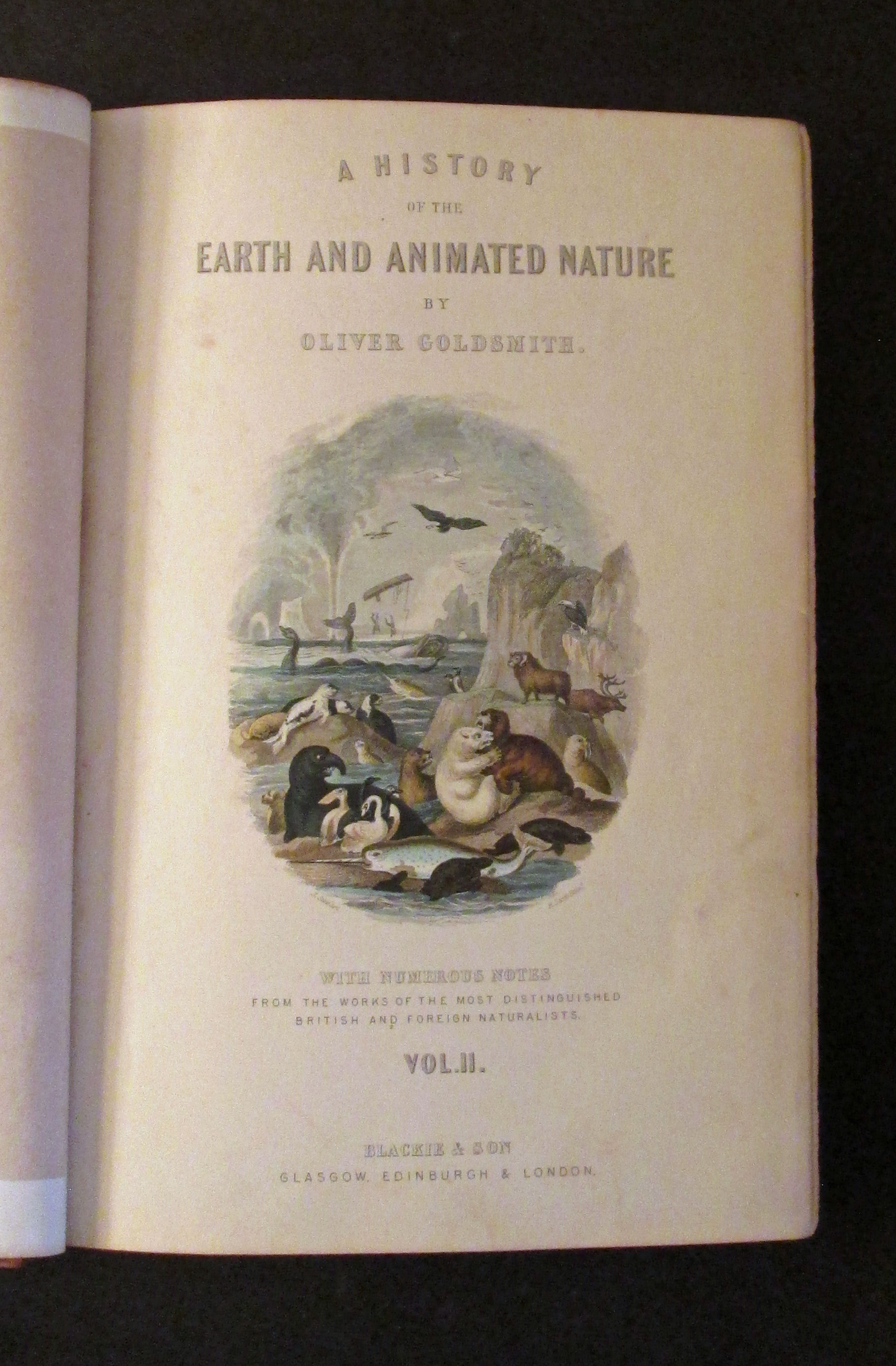 A History of the Earth and Animated Nature [in Two Volumes] by Oliver Goldsmith Hardcover