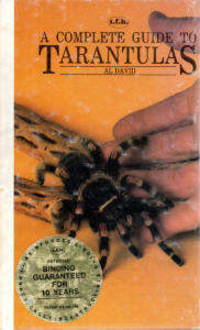 A Complete Guide to Tarantulas