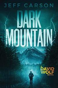Dark Mountain: 10 (David Wolf Mystery Thriller Series)