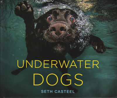 UNDERWATER DOGS.