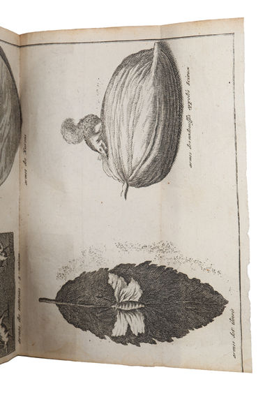 Voyages Du Baron Lahontan Dans L'Amérique Septentrionale. Seconde édition, revuë, corrigée & augmentée. 2 vols (+) Suite du voyage, de l'Amérique ou Dialogues de Monsieur le baron de Lahontan et d'un sauvage dans l'Amérique. (photo 6)