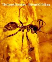 Insect Societies