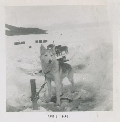 Photo Album Documenting Operation...; (photo 7)