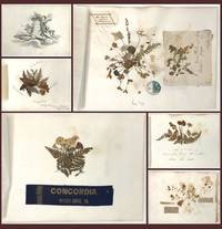 Travel and Botanical Specimen Album of Frederick Beringer