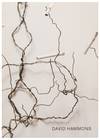 David Hammons: Selected Works