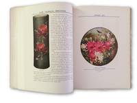The Australian Flora in Applied Art. Part I: The Waratah by Richard T BAKER - Signed First Edition - 1915 - from Rare Illustrated Books (SKU: 1302)