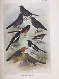 Birds of the island of Java