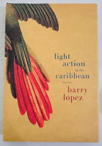 Light Action in the Caribbean