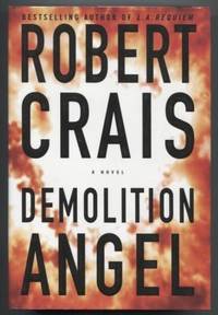 image of Demolition Angel
